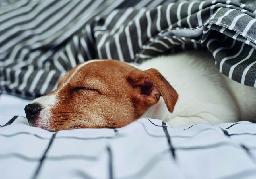 Chaide Semana del descanso 5 100 1