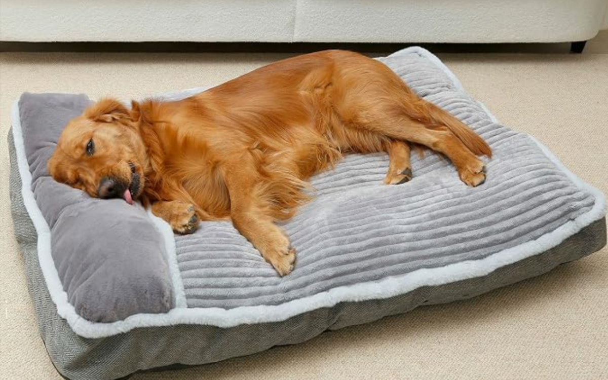 colchon ortopedico para perro